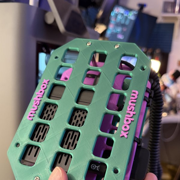 Teal Mushbox with pink lettering held in hand